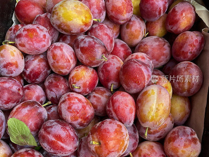 新鲜农产品市场成堆的成熟维多利亚李子(Prunus domestica '维多利亚')在纸箱，抬高的形象